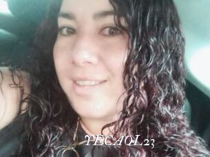 YECAOL23
