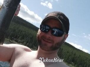 YukonBear