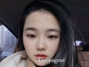Yangqingxue