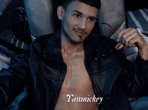 Yanmickey