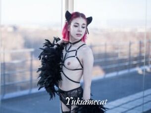 Yukiamecat