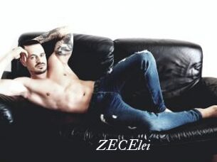 ZECElei