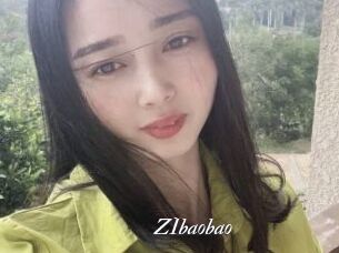 ZIbaobao