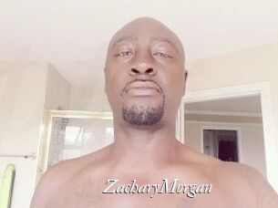 Zachary_Morgan Partouze