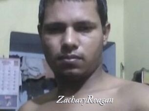 Zachary_Reagan Partouze
