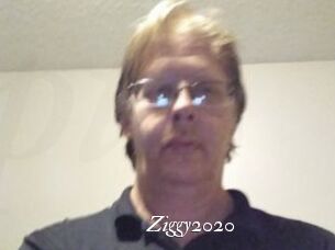 Ziggy2020