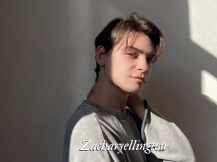 zacharyellington Partouze