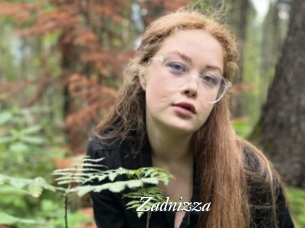 Zadnizza