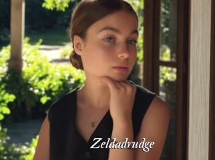 Zeldadrudge